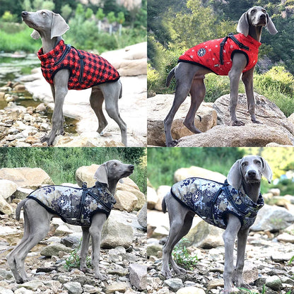 Winter Warm Large Dog Jacket with Harness: Waterproof Coat for Labrador, French Bulldog, Chihuahua