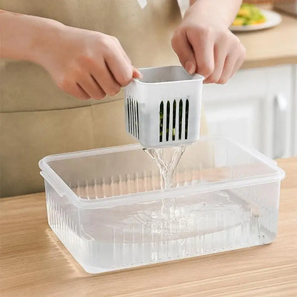 Refrigerator Storage Box: Clear Crisper Organizer for Food, Vegetables, and Fruits